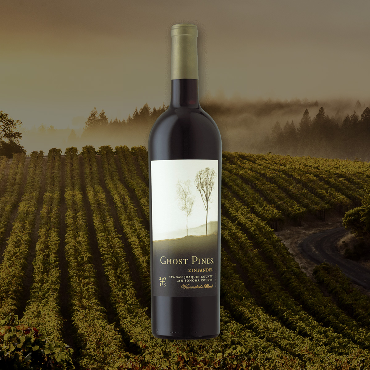 Zinfandel Ghost Pines Wines Beyond the Lines